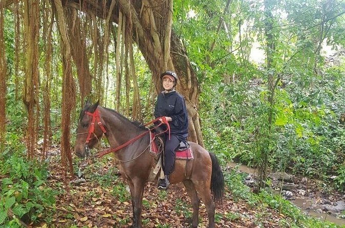 The Ultimate Dominican Horseback Riding Adventure - Who should book this ride