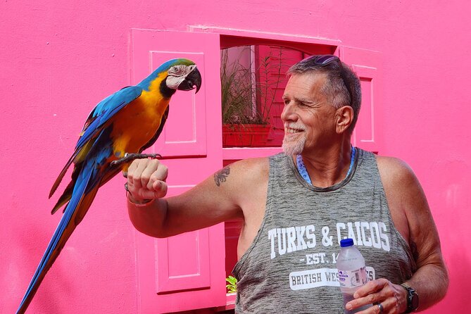 The Ultimate Puerto Plata Challenge: City & 7 Waterfalls - The two-hour Damajagua visit