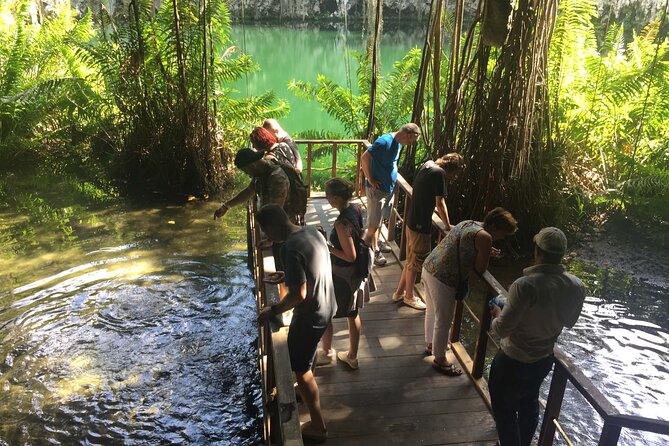 Three Eyes National Park Exploration Tour - Three Eyes National Park: caves and rainforest in the city