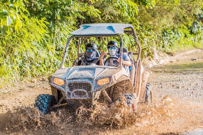 Tours Buggy Punta Cana Macau - Who will enjoy this outing most