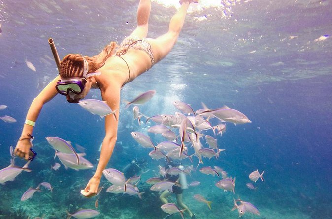 Tours to Saona Island - Weather, cancellation, and the best season of mind
