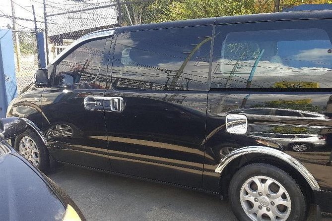 Transfer from Punta Cana Airport to Romana Bayahibe hotels and vice versa. - What the private vehicle adds