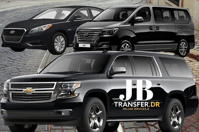 Transportation Private Punta Cana Airport And Hotels - Meeting your driver at Punta Cana Airport