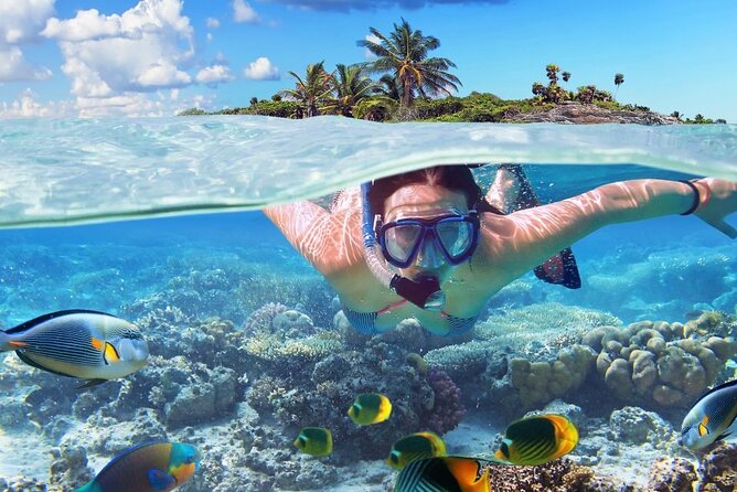 Tropical Punta Cana Booze Cruise – Snorkel, Sandbar & Party Vibes - Cabeza de Toro: snorkeling before the party