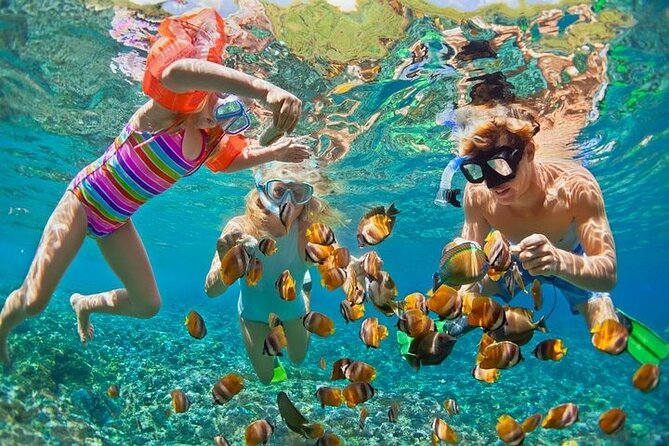 Tropical Punta Cana Booze Cruise – Snorkel, Sandbar & Party Vibes - Starting at El Cortecito at 2:30 pm