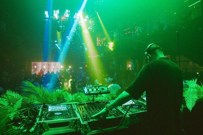 Tropicalia Disco – Party Night – Nightclub - Key points to know before you go