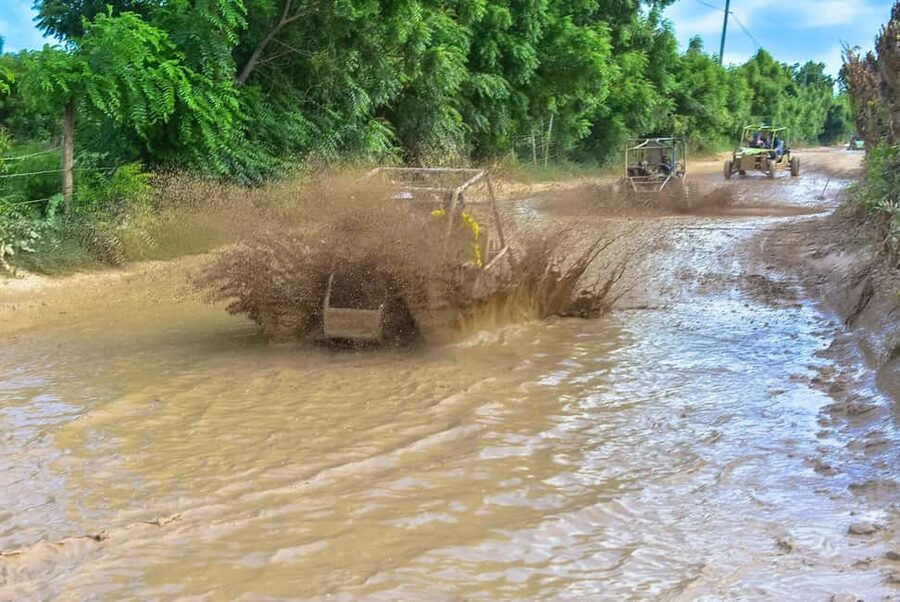 Ultimate Buggy Expedition from Punta Cana with blue cenote - What the $24 Price Really Covers