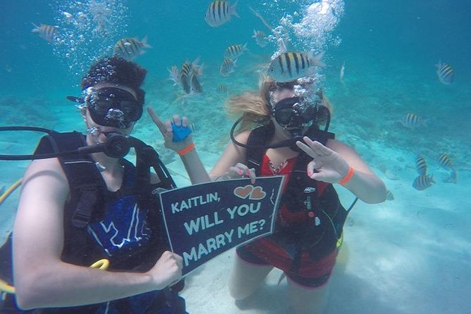 Underwater Marriage Proposal - A quiet beach finish after the proposal