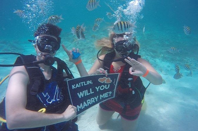 Underwater Marriage Proposal - What the $800 price includes