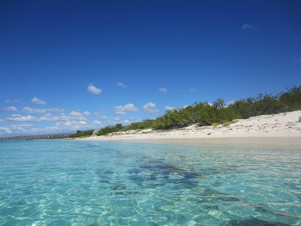 Untouched Paradise – Bahía de Las Águilas - A small group with a personal guide