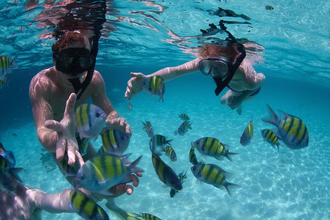 Up to 15 passengers Private Catamaran Sailing from Punta Cana - Who will enjoy this catamaran most