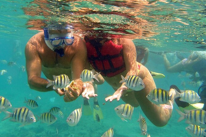 VIP Catamaran with Snorkeling - What the Punta Cana catamaran day is really like