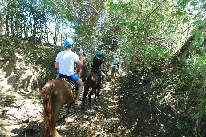 VIP DayPass: ATV, ZipLine, Horse Riding / Shore Excursion & Hotel - Pool zip lining, gardens, and rescued animals