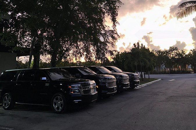VIP Executive Airport Transfer – Luxury Ride in Punta Cana - Vehicle comfort and group value