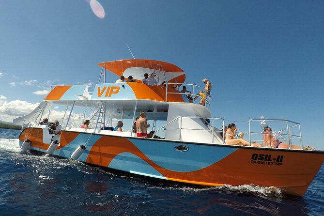 VIP Fascinating Boat Ride & Snorkeling at Sosua Bay - From Puerto Plata pickup to the road toward Sosua