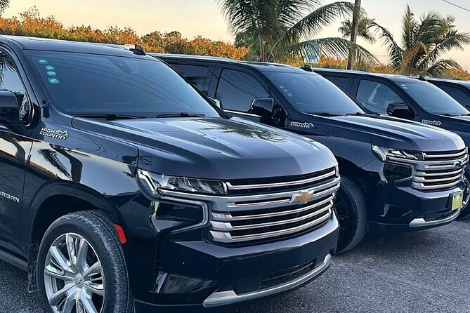 VIP SUV Airport Transfer from Punta Cana/Bavaro - A simple landing at Punta Cana Airport