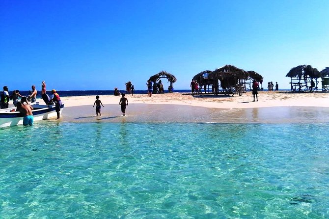 VIP tour to Paradise Island & The Mangroves - Mangroves in Monte Cristi National Park
