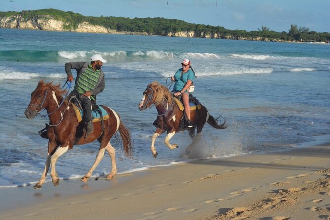 Want to Learn to Gallop at Bavaro Punta Cana Beach! - From Punta Cana hotels to Rancho Un Regalo De Dios