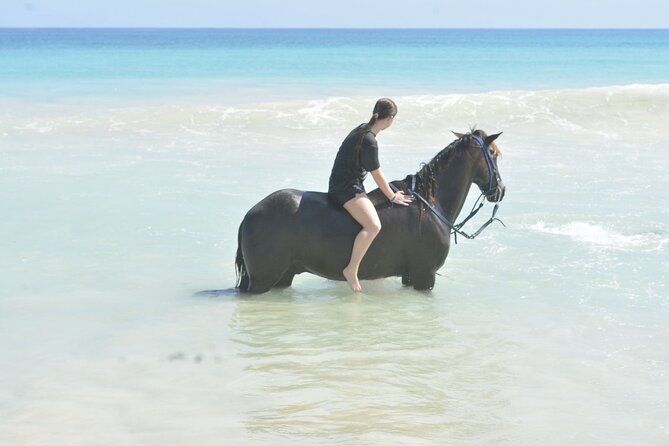 Want to Learn to Gallop at Bavaro Punta Cana Beach! - What makes the $65.95 price worthwhile