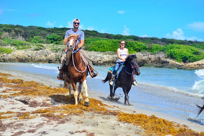Want to Learn to Gallop at Bavaro Punta Cana Beach! - Who should book this Macao horseback ride