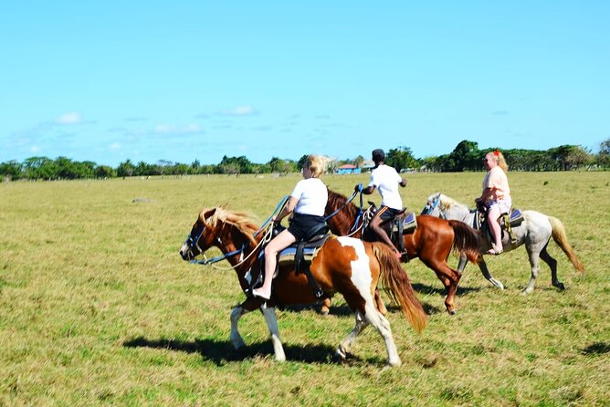 Want to Learn to Gallop at Bavaro Punta Cana Beach! - Booking, pickup, and cancellation details
