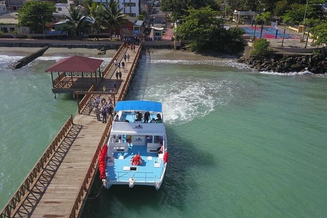 Whale watching and Montana Redonda - Two to three and a half hours on Samana Bay