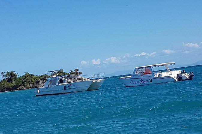 Whale Watching in Samana - What lunch adds to the value
