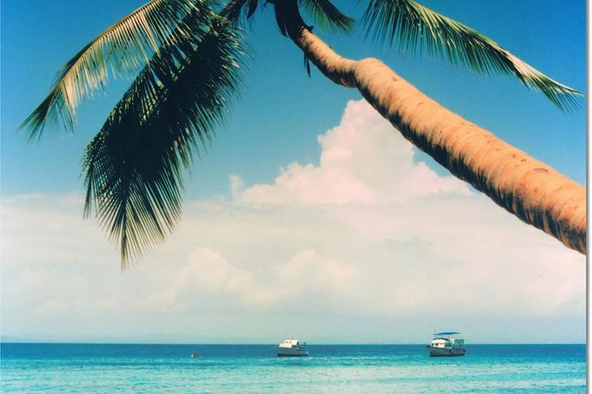 Whale Watching in Samana - The driving time and group size matter