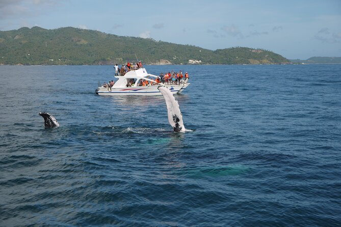 Whale Watching & Limón Waterfall Day Trip - Riding toward a 165-foot waterfall