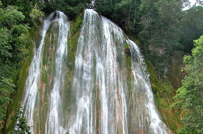 Whale Watching & Limón Waterfall Day Trip - The 280-step climb changes the waterfall visit