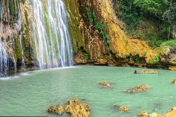 Whale Watching & Limón Waterfall Day Trip - Is $169 a fair price?