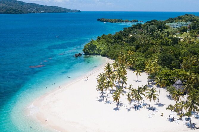 Whale Watching Tour in Samana - What $100 means for the day