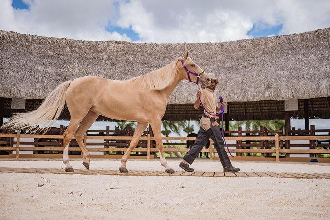 Xploration Animal Encounters Half Day Tour from Punta Cana - Price, group size, and practical value
