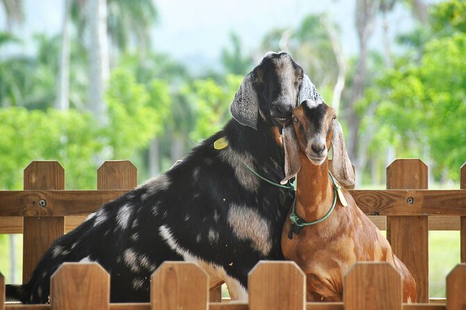 Xploration Animal Encounters Half Day Tour from Punta Cana - Who will enjoy this animal park visit?