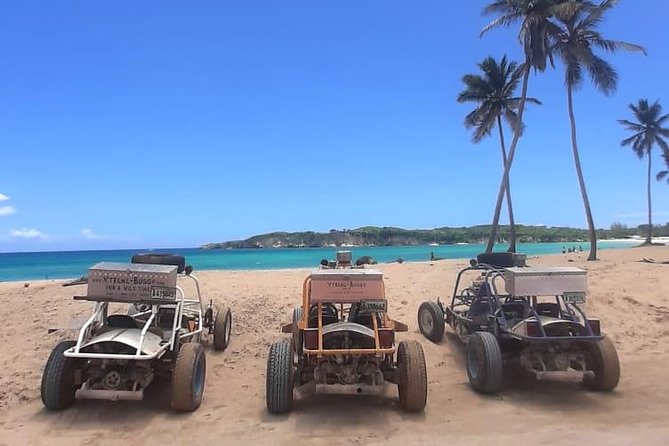 Xtreme Buggy 4 hours Dune Buggy & Country side experience - Quick takeaways