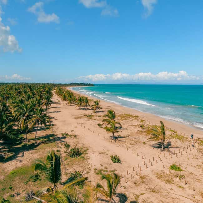 Zip Line Playa Esmeralda With Redonda Mountain - Is the $80 price fair?