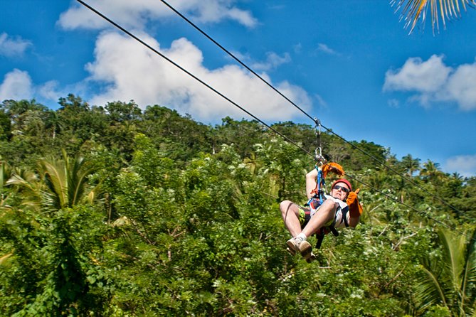 Zipline Adventure in El Limón - Key points to know before you book