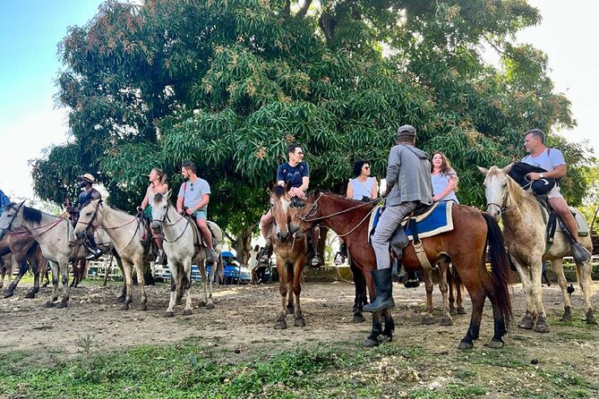 Zipline,Dune Buggy,Horse Riding - The country home and food stop