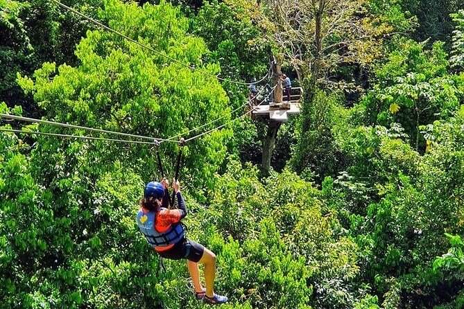 Zipline with Waterfalls and Lunch, Amber Cove and Taino Bay - Five ziplines before the waterfalls